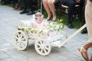 Brownstone Gardens in Oakley wedding photographer Anna Hogan - photo 39 - flower girl in wagon