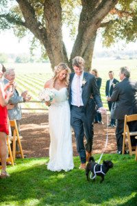 Healdsburg Country Gardens Wedding - Anna Hogan Photography - photo 49 - bride and groom with dog